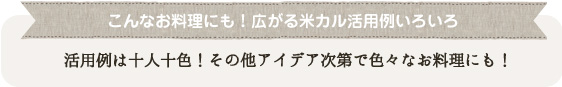こんなお料理にも!広がる米カル活用例いろいろ 活用例は十人十色!その他アイデア次第で色々なお料理にも!