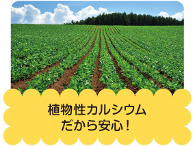 理由2 植物性カルシウムだから安心!